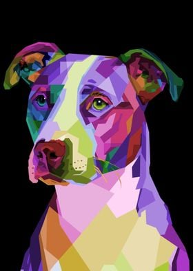 Colorful Pitbull terrier