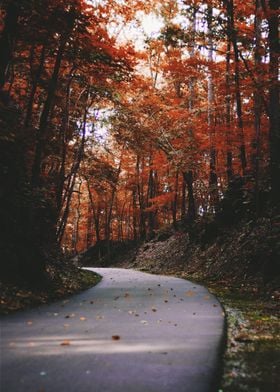 Road To The Autumn Woods