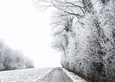 Winter Road