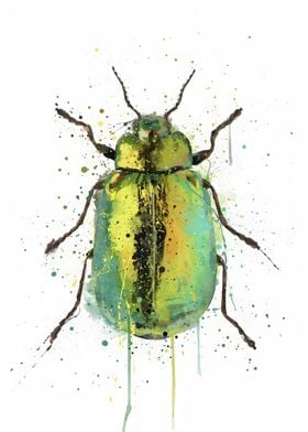 Jewel Beetle