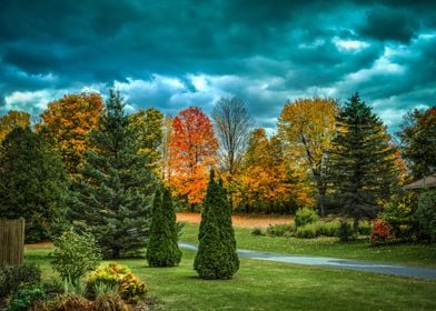 Beautiful Autumn Forest