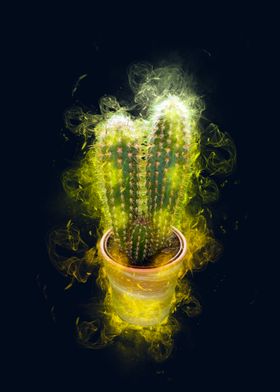 cactus plant smoke