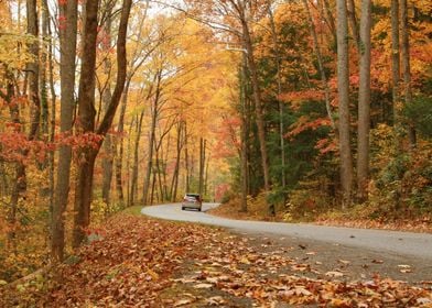 Beautiful Autumn Road