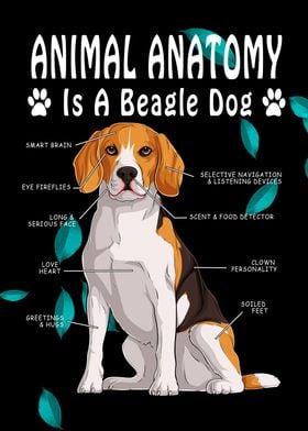 dog anatomy