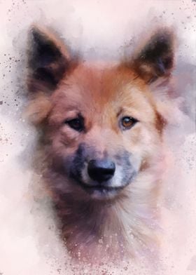 Dog Portrait 