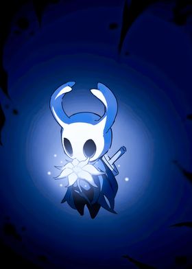 hollow knight