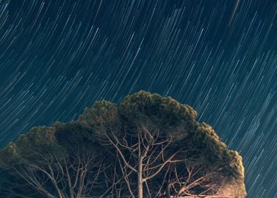 Star Trails night sky