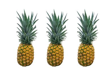 pineapple3