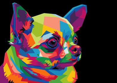 colorful chihuahua dog