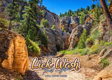 Lick Wash Trail Hike