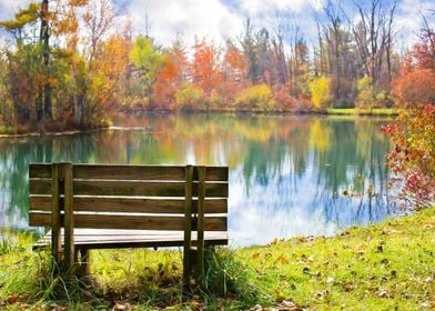 Autumn Forest and Lake