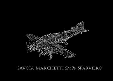 Savoia Marchetti SM79 