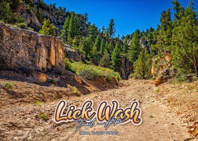 Lick Wash Trail Hike