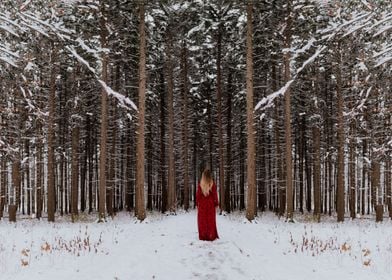 Snowy Forest and Women