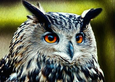 Owl