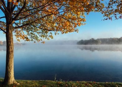 Beautiful Lake View