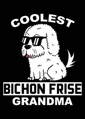 Bichon Frise Grandma 