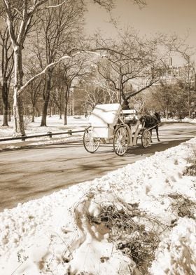 New York City Central Park