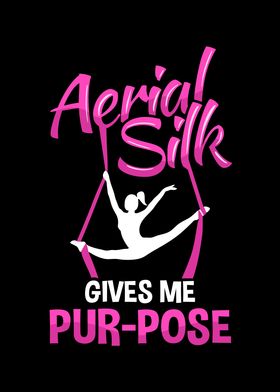 Aerial Silk Dancer