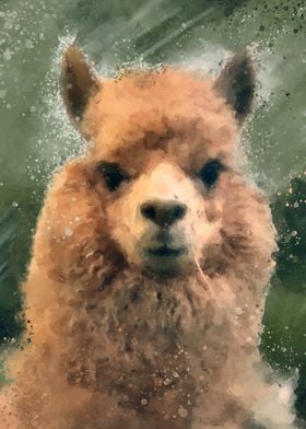 Digital Painting of a lama