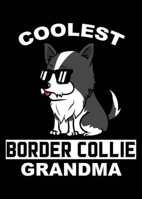 Border Collie Grandma 