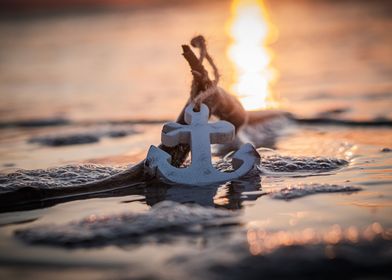 Beach Sea Anchor Water