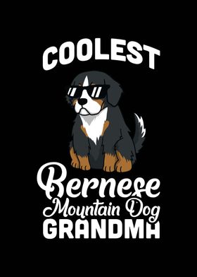 Bernese Mountain Grandma