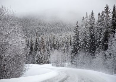 Snow Covered Road