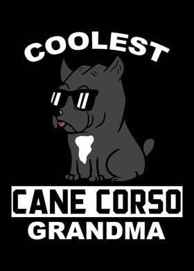 Cane Corso Grandma 