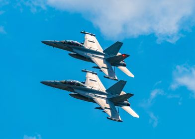 Growlers at the airshow