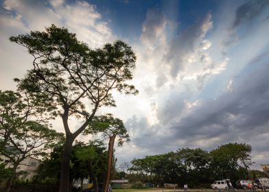 Magnificent Clouds