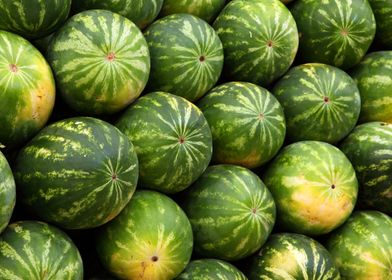 watermelons