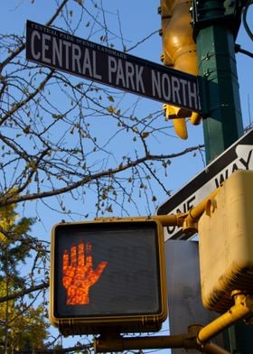 Central Park traffic light