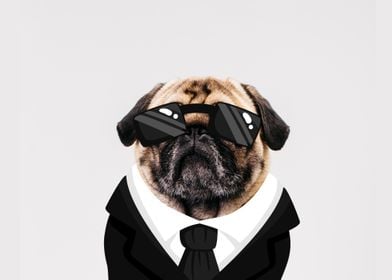 Pug in Black 