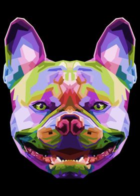 French bulldog