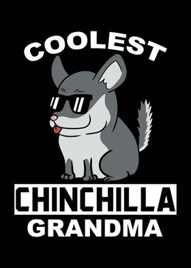 Chinchilla Grandma 