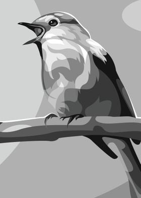 Beautifull Bird Vector Art