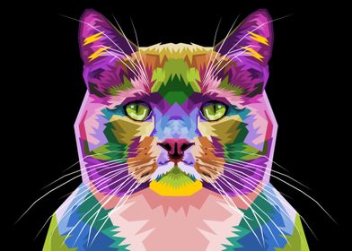 Colorful cat on pop art