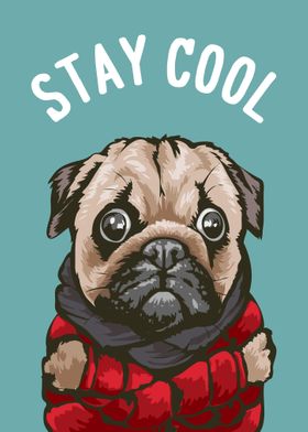 Stay Cool pug