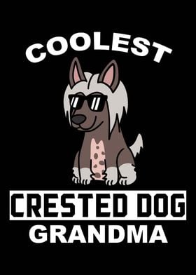 Chinese Crested Grandma 