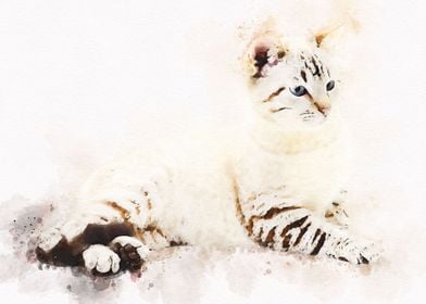 Cute Cat Watercolor