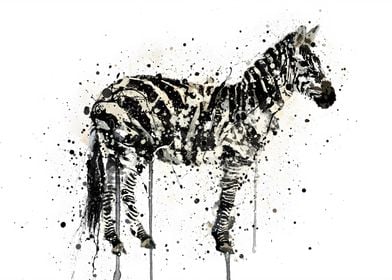 Watercolor Zebra