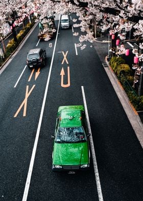 Taxis and Cherry Blossoms