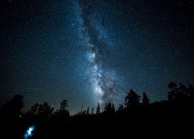 Milky Way and Black Forest