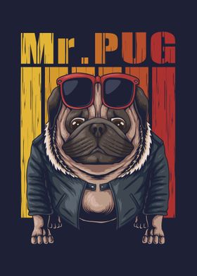 Mr Pug