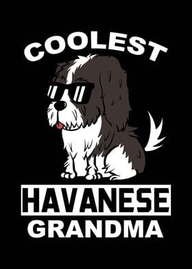 Havanese Grandma 