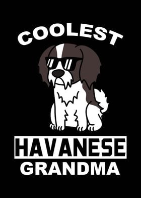 Havanese Grandma 