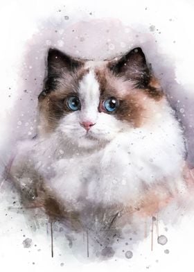 Ragdoll watercolor