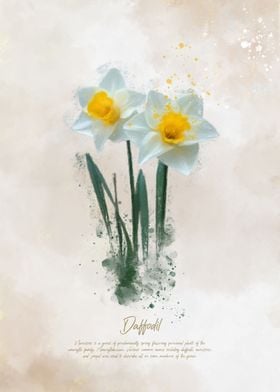 Daffodil flower Painting