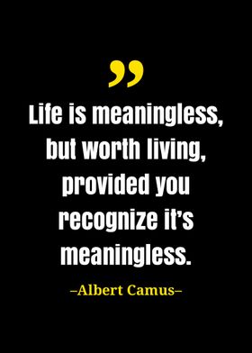 Albert camus quote